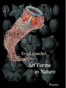 Art Forms in Nature (Prestel Minis) - Prestel