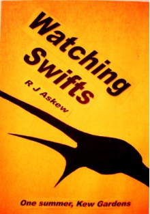 Watching Swifts - R.J. Askew