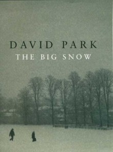 The Big Snow - David Park