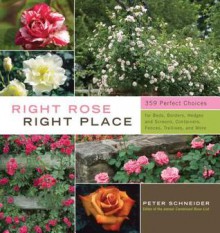 Right Rose, Right Place - Peter Schneider