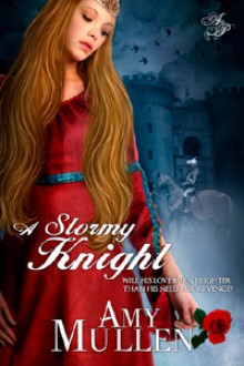 A Stormy Knight - Amy Mullen