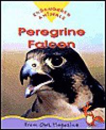 Peregrine Falcon: Endangered Animals Series - Sylvia Funston, Olena Kassian, Owl Magazine