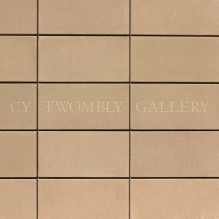 The Cy Twombly Gallery: The Menil Collection, Houston - Nicola Del Roscio, Julie Sylvester, Paul Winkler, Carol Mancuso Ungaro