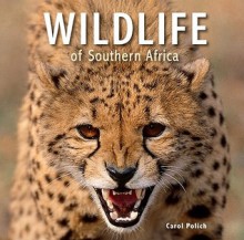 Wildlife of Southern Africa - Carol Polich