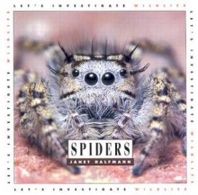 Spiders - Janet Halfmann