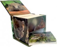 Woodland Wildlife Memo Cube [With 8 Cards and 8 Envelopes] - Anness Publishing