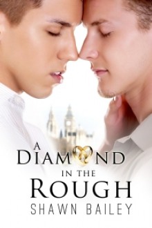 A Diamond in the Rough - Shawn Bailey