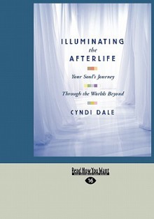 Illuminating the Afterlife: Your Soul's Journey Through the Worlds Beyond (Easyread Large Edition) - Cyndi Dale