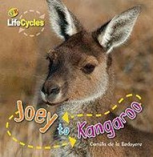 Joey to Kangaroo - Camilla De la Bédoyère