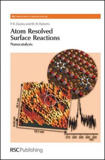 Atom Resolved Surface Reactions: Nanocatalysis - Phil R. Davies, Wyn M. Roberts, M W Roberts, Paul O'Brien, Harry Kroto