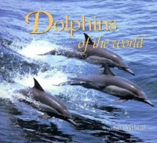 Dolphins of the World - Ben Wilson