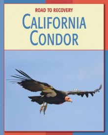 California Condor - Susan H. Gray