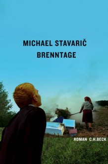 Brenntage - Michael Stavaric