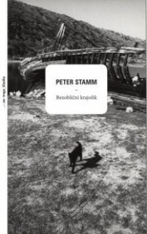 Bezoblični krajolik - Peter Stamm, Damjan Lalović