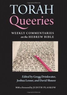 Torah Queeries - Lesser Joshua, Gregg Drinkwater, Joshua Lesser, David Shneer, Judith Plaskow