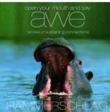 Open Your Mouth and Say Awe: Stories of Sustaining Connections - Carl A. Hammerschlag