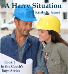 A Harry Situation - Kristy K. James