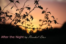 After The Night - Rachel Dax