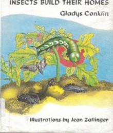 Insects Build Their Homes - Gladys Conklin