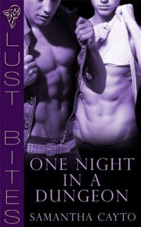 One Night in a Dungeon - Samantha Cayto