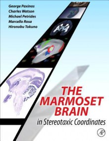 The Marmoset Brain in Stereotaxic Coordinates - George Paxinos, Charles Watson, Michael Petrides, Marcello Rosa, Hironobu Tokuno