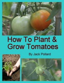 How to Plant and Grow Tomatoes - Jack Pollard