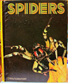 Spiders - Lillian Bason