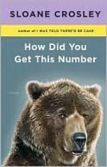 How Did You Get This Number - Sloane Crosley