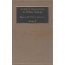 Current Perspectives in Social Theory - Jennifer M. Lehmann