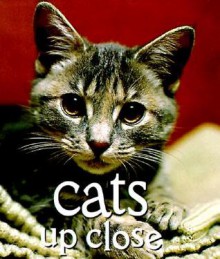 Cats Up Close - Vicki Croke