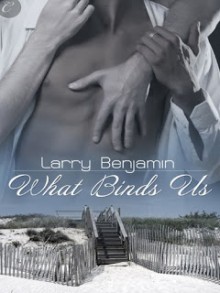 What Binds Us - Larry Benjamin