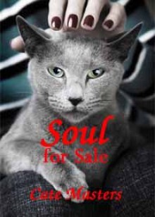 Soul for Sale - Cate Masters