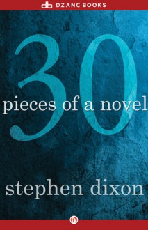 30 Pieces of a Novel - Stephen Dixon