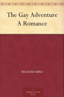 The Gay Adventure A Romance - Richard Bird, E. Vaun Wilson