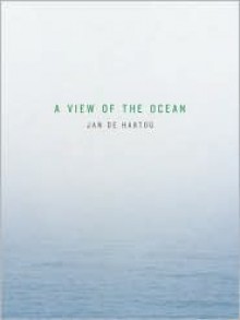 A View of the Ocean - Jan de Hartog