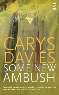 Some New Ambush (Salt Modern Fiction) - Carys Davies