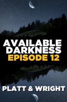 Available Darkness: Episode 12 - Sean Platt, David W. Wright