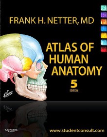 Atlas of Human Anatomy - Frank H. Netter, John T. Hansen, Brion Benninger, Jennifer K. Brueckner