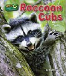 Raccoon Cubs - Ruth Owen