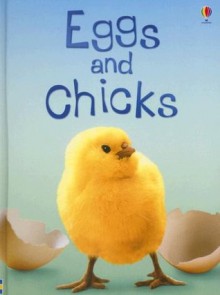 Eggs and Chicks (Usborne Beginners) - Fiona Patchett, Tetsuo Kushii, Zoe Wray