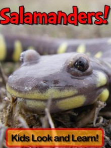 Salamanders! Learn About Salamanders and Enjoy Colorful Pictures - Look and Learn! (50+ Photos of Salamanders) - Becky Wolff