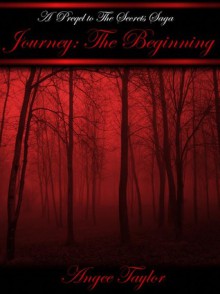 Journey:The Beginning (A Prequel to the Secrets Saga) - Angee Taylor