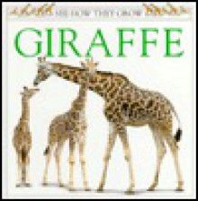 Giraffe - Peter Anderson