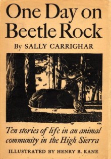 One Day On Beetle Rock - Sally Carrighar