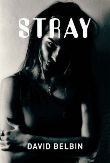 Stray (Gr8reads) - David Belbin