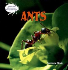 Ants - Suzanne Slade