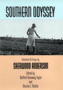 Southern Odyssey: Selected Writings by Sherwood Anderson - Sherwood Anderson, Welford D. Taylor, Dunaway Taylor, Welford Dunaway Taylor, Charles E. Modlin