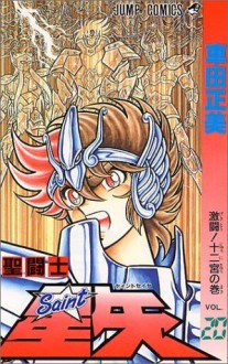 Saint Seiya Vol. 20 (Seinto Seiya) - Masami Kurumada