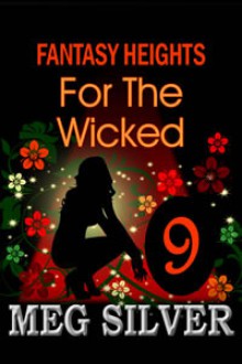 For The Wicked - Meg Silver