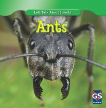 Incredible Ants - Susan Ashley